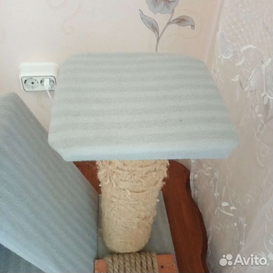 Когтеточка