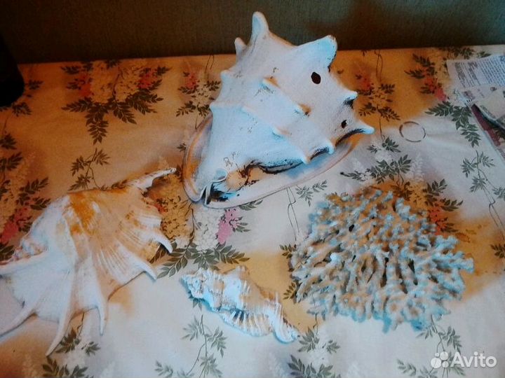 Коралл, ракушки, домик,камни, черепашка