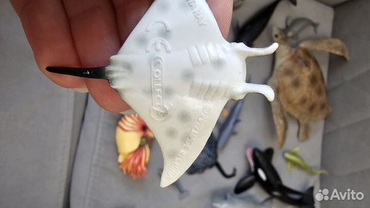 Коллекция морских обитателей