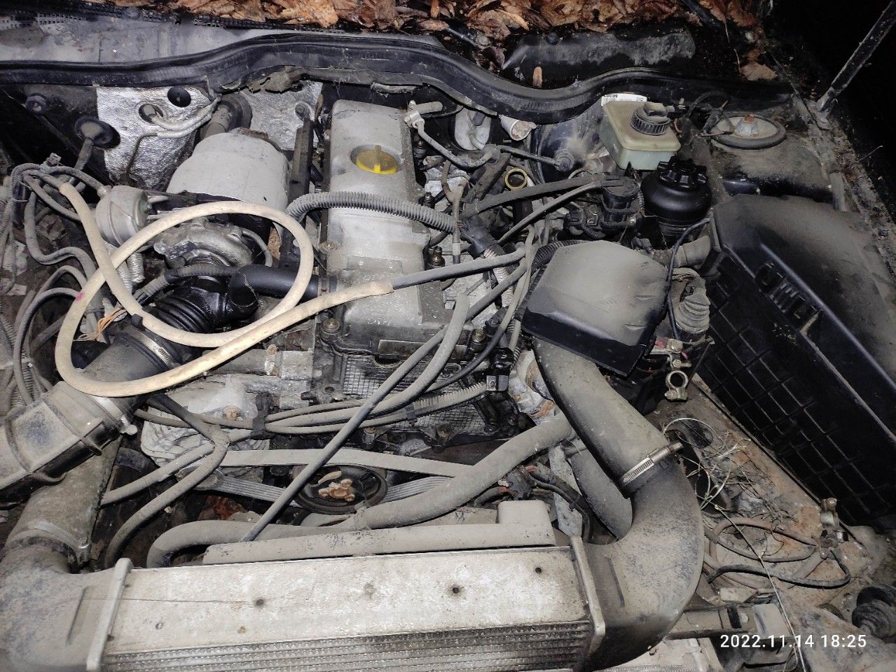 Opel Omega: фото владельца