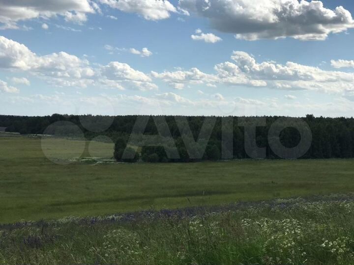 Участок 3,5 га (СНТ, ДНП)