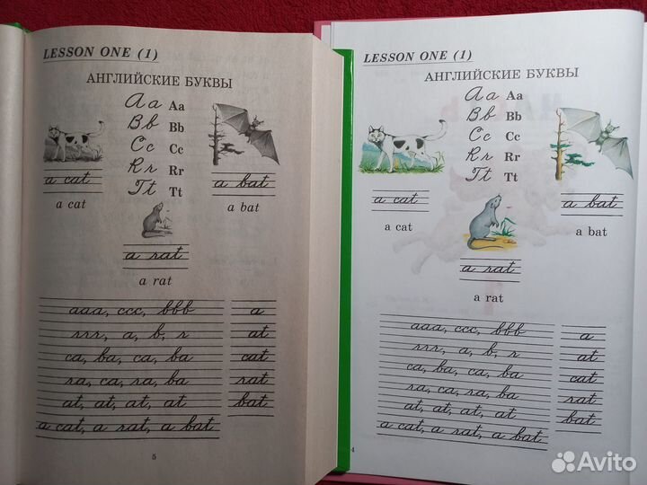 Валентина Скультэ. Английский для детей