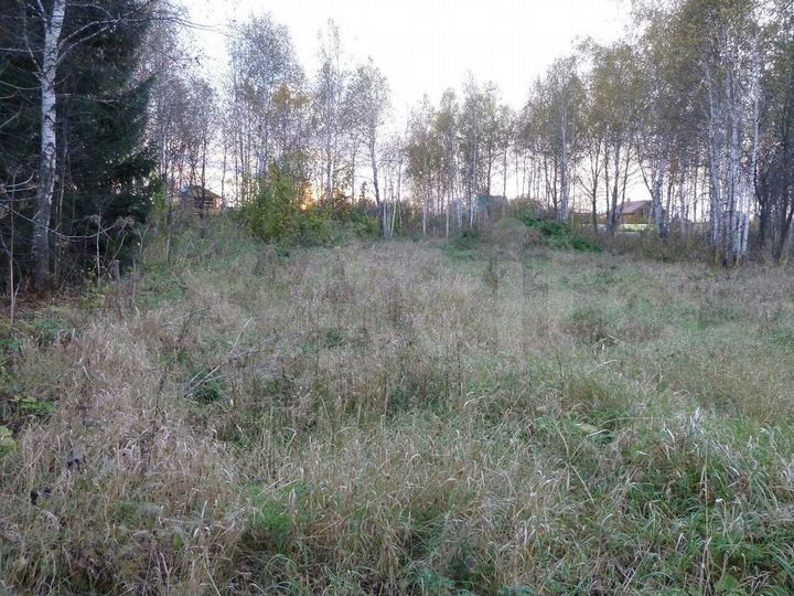 Участок 12 сот. (СНТ, ДНП)