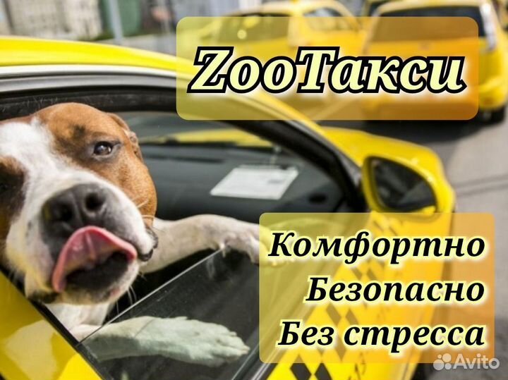 Перевозка животных по россии зоотакси