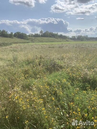Сено луговое разнотравие,солома ячменная в тюках