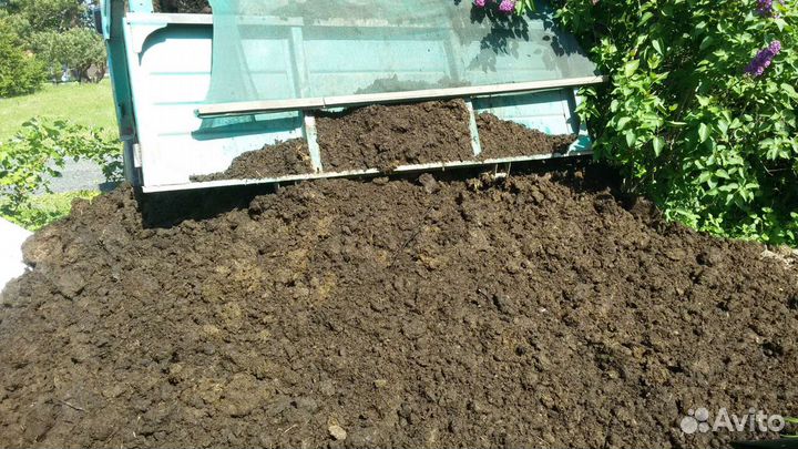 Навоз напрямую с коровника