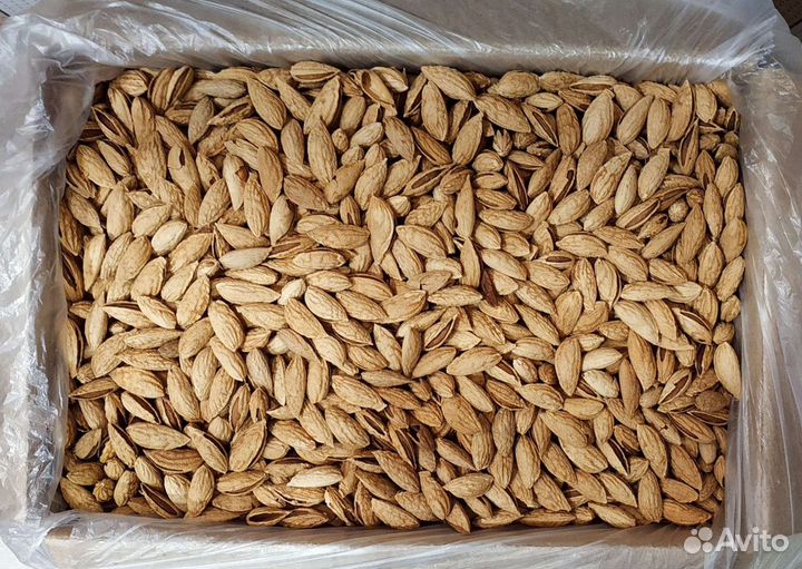 Миндаль/сырой/жаренный/неочищенный/оптом и розница