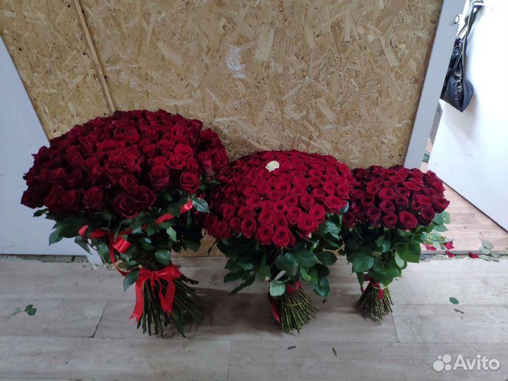 Роза букет розы букеты 51штук 101 штук