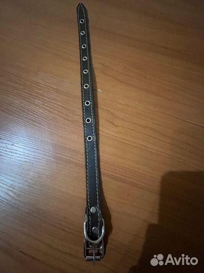 Ошейник для собак