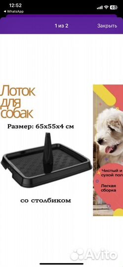 Лоток для средних и крупных порд собак