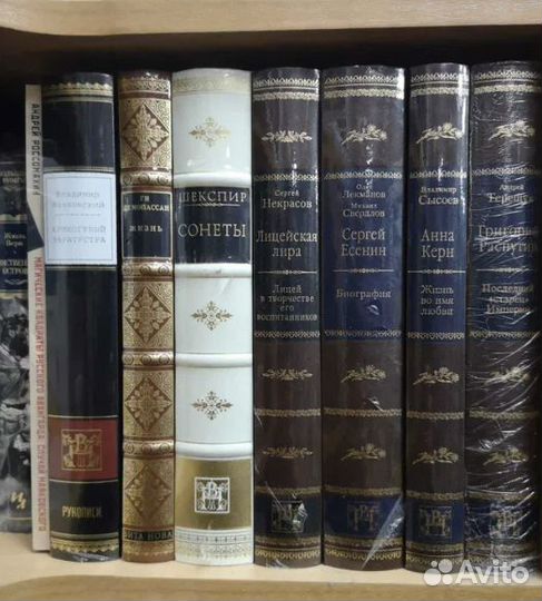 Вита Нова. Парадный зал, Читальный зал и др.серии