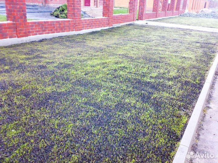 Озеленение участка. Посев газона