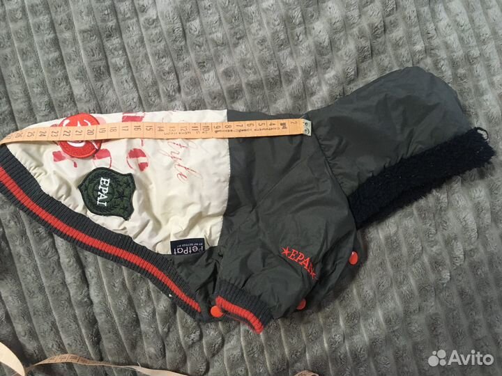 Вещи пакетом для собачки