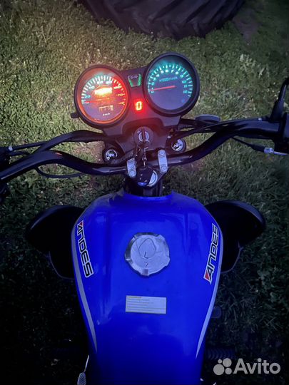 Альфа Андес Люкс (110)