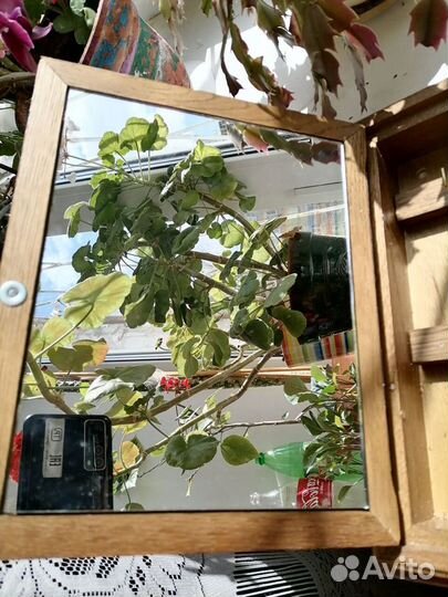 Ключница, олово/дуб, старая германия