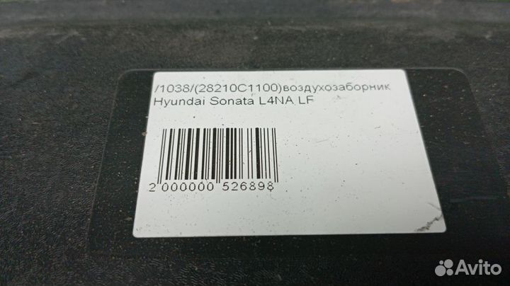 Воздухозаборник Hyundai Sonata