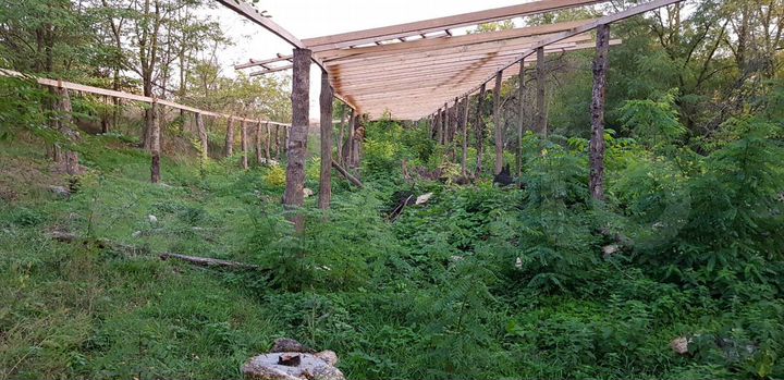 Участок 80 сот. (ИЖС)