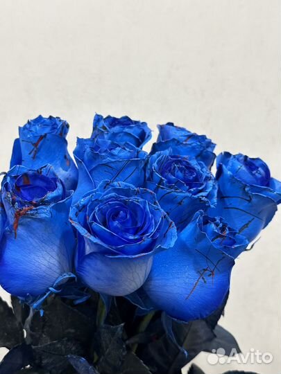 Синие розы к 8 марту сургут доставка