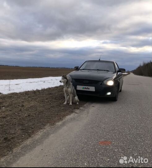 LADA Priora 1.6 МТ, 2012, 115 000 км