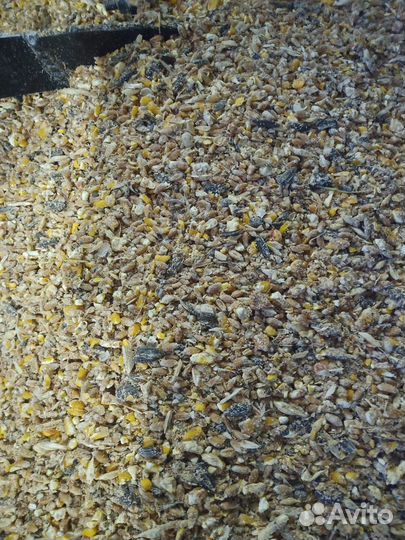 Корм для сельхоз. птиц и дом. животных. Бентонит