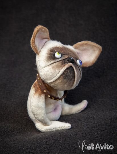 Смешной тедди бульдог