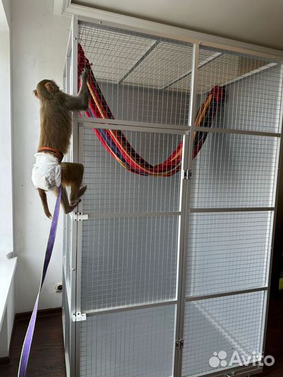 Вольер для обезьяны