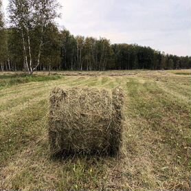 Сено в рулонах с доставкой