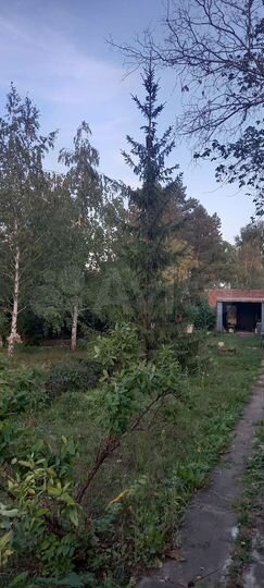 Дача 36 м² на участке 11 сот.