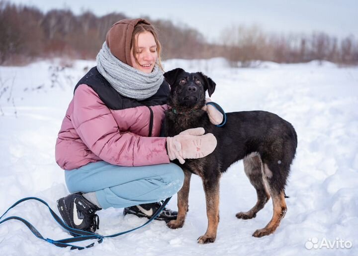 Щенок в самые лучшие руки