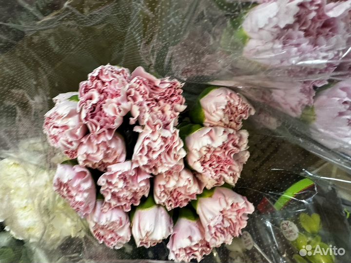 Цветы оптом