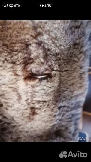 Шуба натуральный мех 52-54