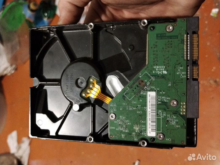 Hdd wd blue