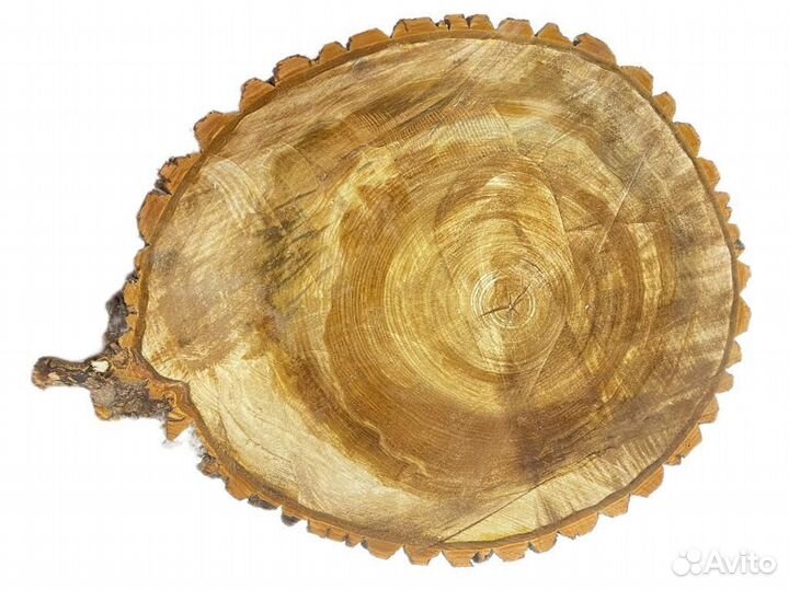 Спилы и срезы деревьев