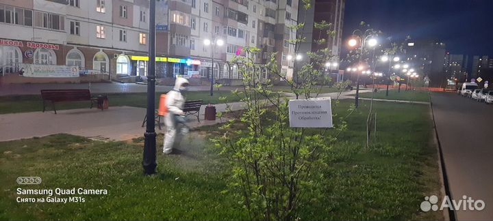 Акарицидная обработка от клещей