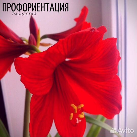 Профориентация+описание личности на 50-70 стр.Word