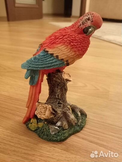 Попугайчики