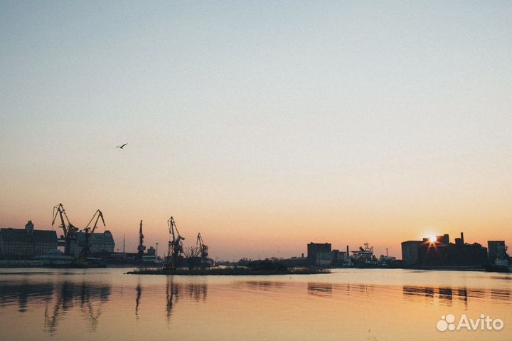 Пешеходно-водная экскурсия по Калининграду