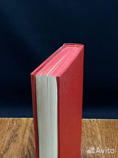 Корабль дураков