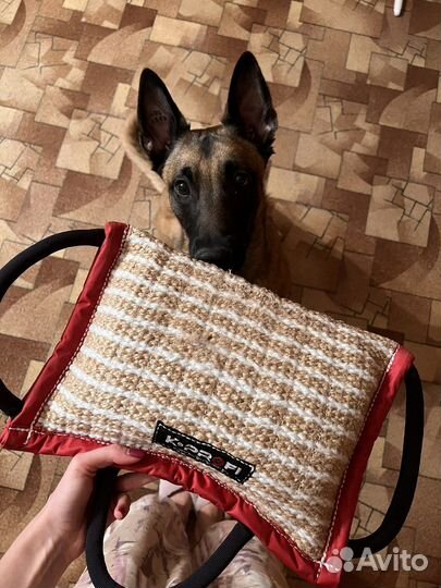 Подушка-ухватка «команч» с тремя ручками для собак