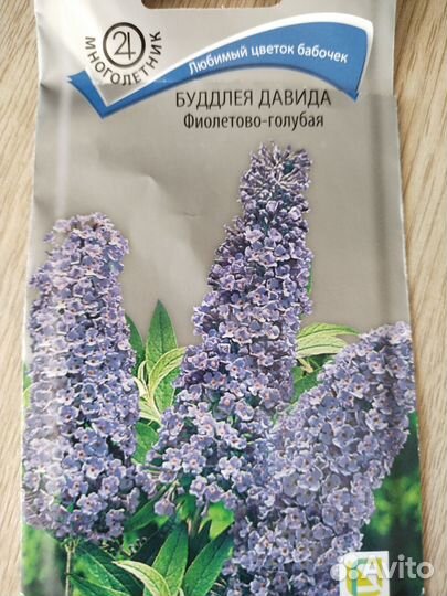 Будлея Давида