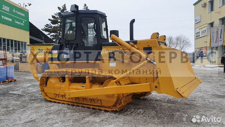 Beezone D16-5, 2023