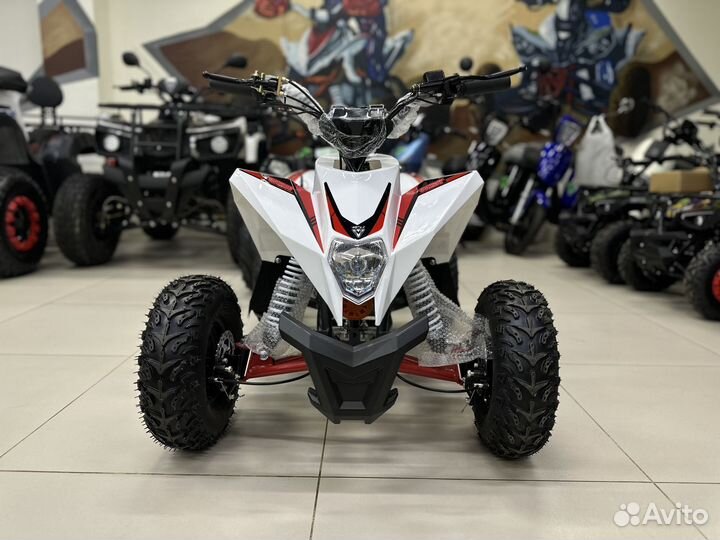 Детский квадроцикл Motax gekkon 1300W