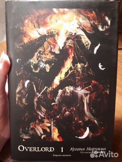 Книга/ранобэ 