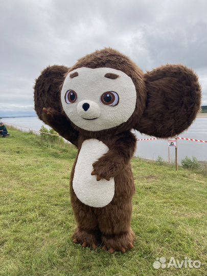 Ростовая кукла чебурашка аренда