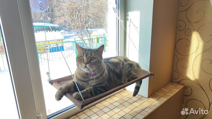 Гамак для кошек на окно