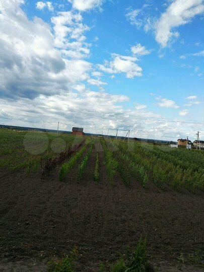 Участок 10 сот. (ИЖС)