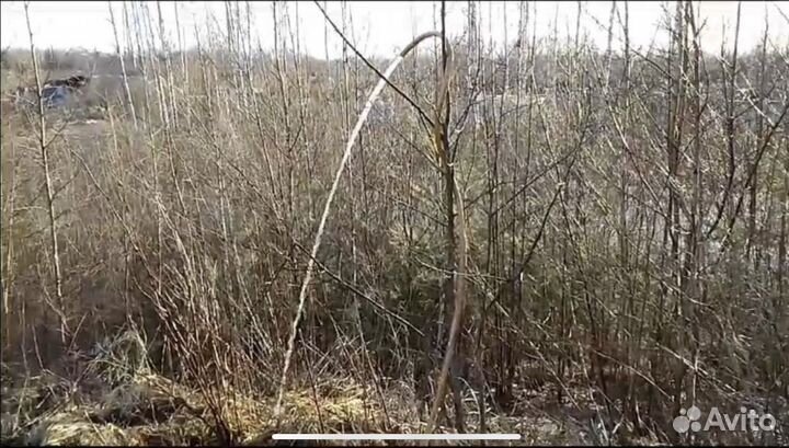 Поиск воды, георазведка до бурения скважины