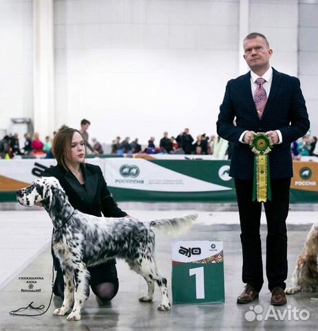 Хендлер Воронеж