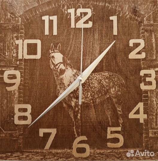 Фотографии