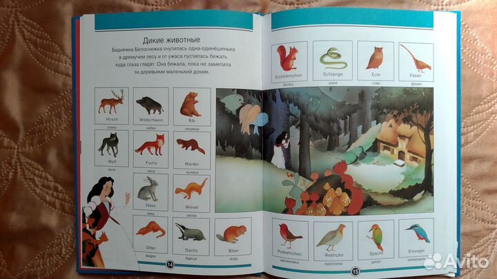 Словарь Русско-Немецкий в картинках